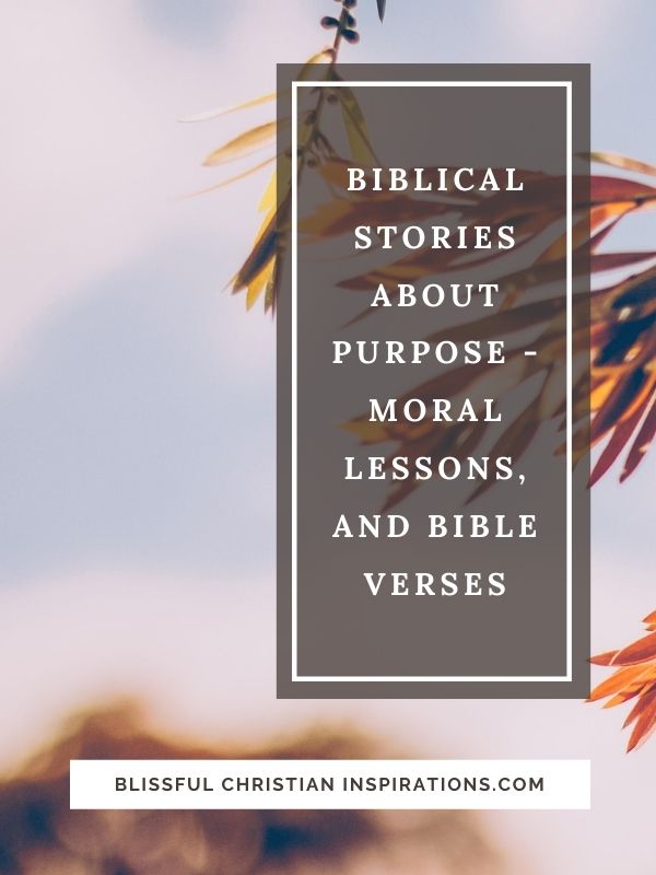 Biblical Stories About Purpose - Lessons, Bible Verses