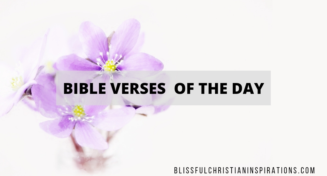 Verse of The Day