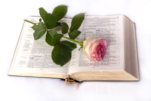 the power in the word of God