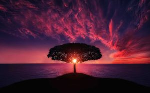 Daniel 4 explained - Nebuchadnezzar dreams of a tree